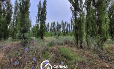 Chacra 5,7 hectáreas en  Centenario - Neuquén