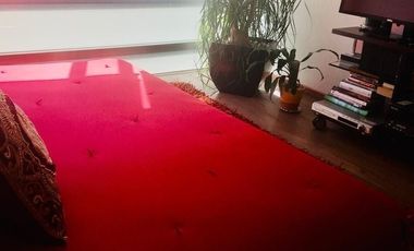 DEPARTAMENTO EN RENTA -REFORMA SOCIAL