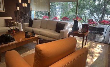 Lomas de Chapultepec Venta cálido y cómodo  departamento