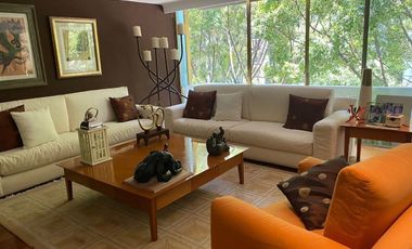 Lomas de Chapultepec Venta cálido y cómodo  departamento