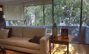 Lomas de Chapultepec Venta cálido y cómodo  departamento