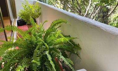 Lomas de Chapultepec Venta cálido y cómodo  departamento