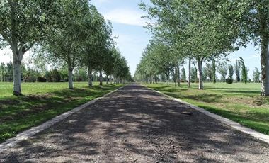 VENTA TERRENO PINARES DEL SUR PIÑERO