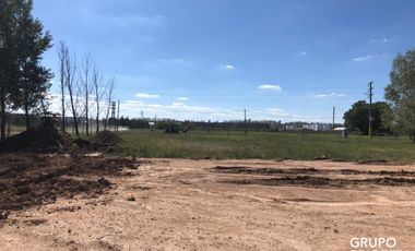 ALQUILER PLANTA DE ALMACENAMIENTO DE BIODIESEL UBICADA EN EL PARQUE INDUSTRIAL COMIRSA 2.