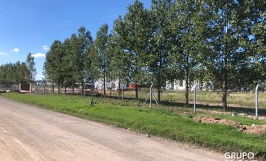 ALQUILER PLANTA DE ALMACENAMIENTO DE BIODIESEL UBICADA EN EL PARQUE INDUSTRIAL COMIRSA 2.