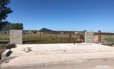 ALQUILER PLANTA DE ALMACENAMIENTO DE BIODIESEL UBICADA EN EL PARQUE INDUSTRIAL COMIRSA 2.