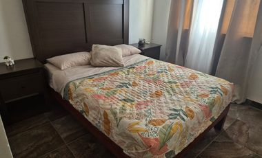 Departamento en ixtapa