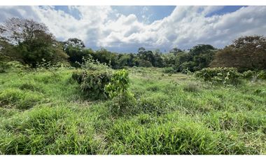 VENTA DE LOTE EN SALENTO, QUINDO, COLOMBIA