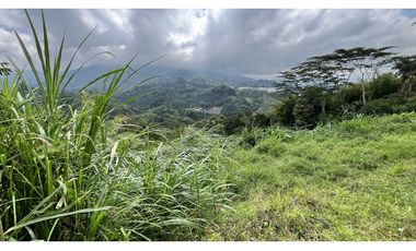 VENTA DE LOTE EN SALENTO, QUINDO, COLOMBIA