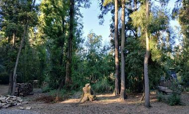 Parcela en Venta en Parcela 12 Coironal, Yerbas Buenas