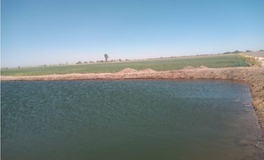 VENTA RANCHO DOLORES HIDALGO