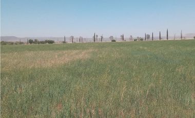VENTA RANCHO DOLORES HIDALGO