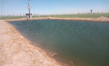 VENTA RANCHO DOLORES HIDALGO
