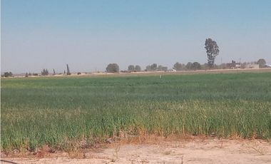 VENTA RANCHO DOLORES HIDALGO