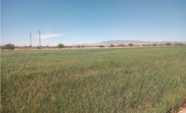 VENTA RANCHO DOLORES HIDALGO