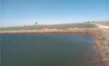 VENTA RANCHO DOLORES HIDALGO