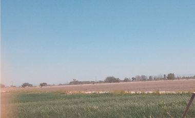 VENTA RANCHO DOLORES HIDALGO