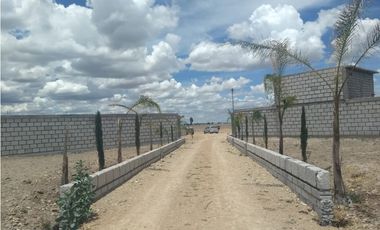 VENTA RANCHO DOLORES HIDALGO