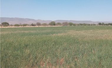 VENTA RANCHO DOLORES HIDALGO