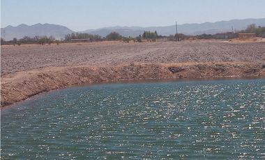 VENTA RANCHO DOLORES HIDALGO