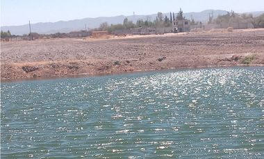 VENTA RANCHO DOLORES HIDALGO