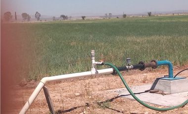 VENTA RANCHO DOLORES HIDALGO