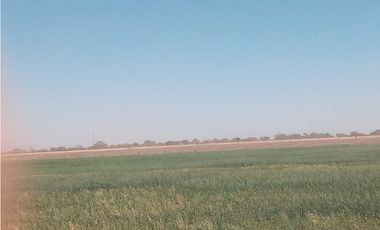 VENTA RANCHO DOLORES HIDALGO