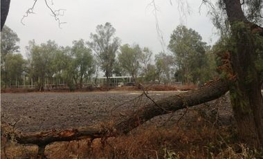 VENTA RANCHO VALLE DE SANTIAGO.