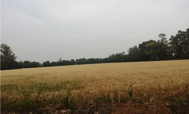 VENTA RANCHO VALLE DE SANTIAGO.