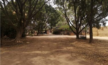 VENTA RANCHO VALLE DE SANTIAGO.
