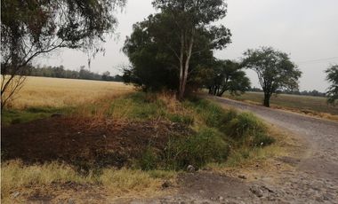 VENTA RANCHO VALLE DE SANTIAGO.