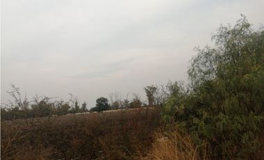 VENTA RANCHO VALLE DE SANTIAGO.