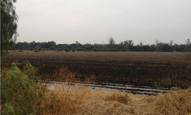 VENTA RANCHO VALLE DE SANTIAGO.