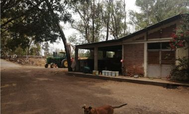 VENTA RANCHO VALLE DE SANTIAGO.