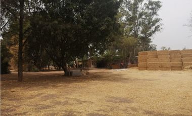 VENTA RANCHO VALLE DE SANTIAGO.