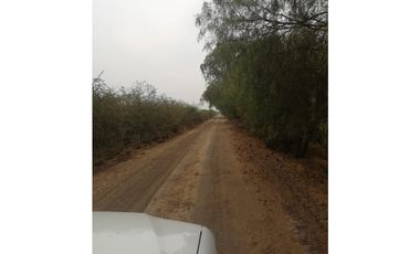 VENTA RANCHO VALLE DE SANTIAGO.
