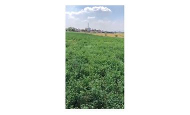 Venta Rancho en Mexicanos Guanajuato