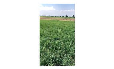 Venta Rancho en Mexicanos Guanajuato