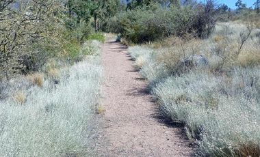 Terreno en Venta en  Blanco Encalada