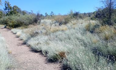 Terreno en Venta en  Blanco Encalada