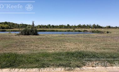 Lote a la laguna en Venta  barrio cerrado Elcano Guillermo Hudson, Pueblos del Plata