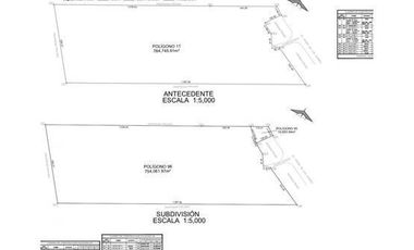 TERRENO COMERCIAL EN   RENTA DOMINIO CUMBRES