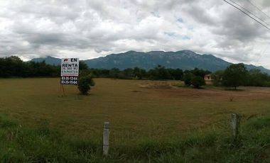 Terreno en Renta y Venta Frente a Harley Davidson Carretera Nacional