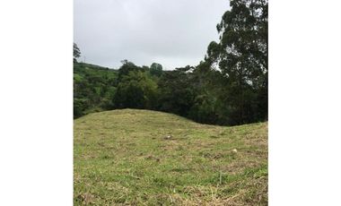 VENTA LOTES EN CONDOMINIO VA PEREIRA ARMENIA