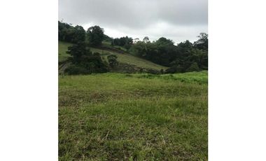 VENTA LOTES EN CONDOMINIO VA PEREIRA ARMENIA