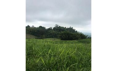 VENTA LOTES EN CONDOMINIO VA PEREIRA ARMENIA