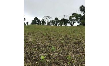 VENTA LOTES EN CONDOMINIO VA PEREIRA ARMENIA