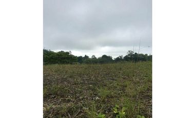 VENTA LOTES EN CONDOMINIO VA PEREIRA ARMENIA