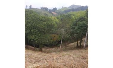 SE VENDE LOTE EN HACIENDA MATORRALES JAMUNDI YP 8409668