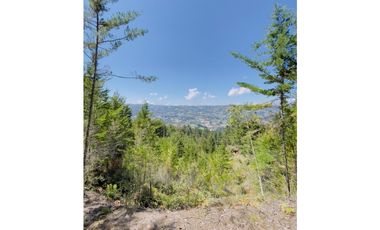 (1) SE RENTA APARTAESTUDIO AMOBLADO EN VEREDA MONTAÑEZ GUARNE